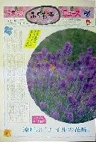 国際花と緑の博覧会-新聞-83