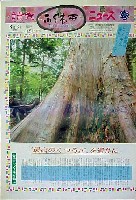 国際花と緑の博覧会-新聞-92