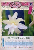 国際花と緑の博覧会-新聞-94