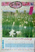 国際花と緑の博覧会-新聞-96