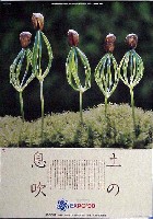 国際花と緑の博覧会-ポスター-19