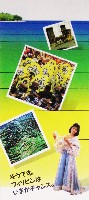 国際花と緑の博覧会-パンフレット-175