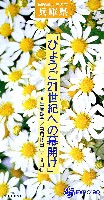 国際花と緑の博覧会-パンフレット-24