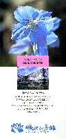 国際花と緑の博覧会-パンフレット-73