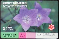 国際花と緑の博覧会-入場券-45