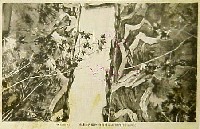 満蒙博覧会-絵葉書-7