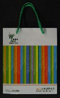 EXPO 2010 上海世界博覧会(上海万博)-パッケージ-4