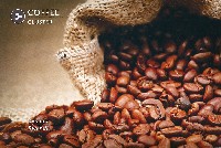 EXPO 2015 ミラノ国際博覧会-記念品・一般-24