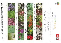 国際園芸博覧会2016 トルコ・アンタルヤ-パンフレット-9