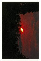 2025年日本国際博覧会（OSAKA,KANSAI EXPO 2025）-絵葉書-16