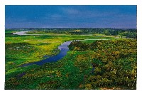 2025年日本国際博覧会（OSAKA,KANSAI EXPO 2025）-絵葉書-22