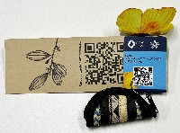 2025年日本国際博覧会（OSAKA,KANSAI EXPO 2025）-記念品･一般-278