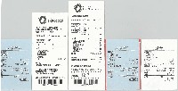 2025年日本国際博覧会（OSAKA,KANSAI EXPO 2025）-その他-4