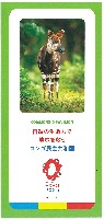 2025年日本国際博覧会（OSAKA,KANSAI EXPO 2025）-パンフレット-148