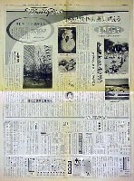 世界陶芸祭(セラミックワールドしがらき)-新聞-2