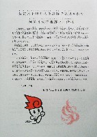 ジャパンエキスポ佐賀96 世界炎の博覧会-パンフレット-21