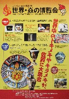 ジャパンエキスポ佐賀96 世界炎の博覧会-パンフレット-41
