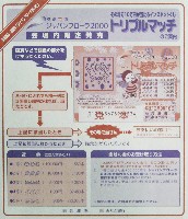 国際園芸・造園博<br>ジャパンフローラ2000(淡路花博)-その他-9