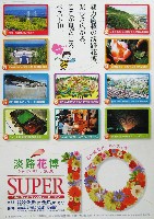 国際園芸・造園博<br>ジャパンフローラ2000(淡路花博)-パンフレット-52