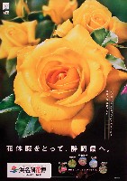 第21回全国都市緑化フェア<br>パシフィックフローラ2004(浜名湖花博)-ポスター-5