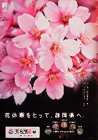 第21回全国都市緑化フェア<br>パシフィックフローラ2004(浜名湖花博)-ポスター-6