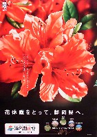 第21回全国都市緑化フェア<br>パシフィックフローラ2004(浜名湖花博)-ポスター-7