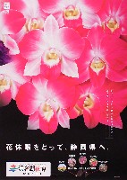 第21回全国都市緑化フェア<br>パシフィックフローラ2004(浜名湖花博)-ポスター-8