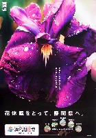 第21回全国都市緑化フェア<br>パシフィックフローラ2004(浜名湖花博)-ポスター-9