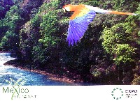 EXPO2005 日本国際博覧会(愛・地球博)-絵葉書-100