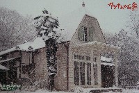 EXPO2005 日本国際博覧会(愛・地球博)-絵葉書-113