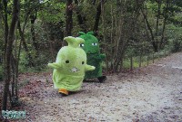 EXPO2005 日本国際博覧会(愛・地球博)-絵葉書-115