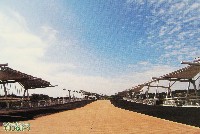 EXPO2005 日本国際博覧会(愛・地球博)-絵葉書-124