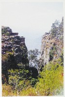 EXPO2005 日本国際博覧会(愛・地球博)-絵葉書-126