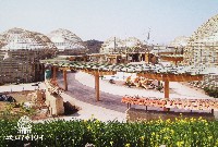 EXPO2005 日本国際博覧会(愛・地球博)-絵葉書-140