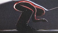 EXPO2005 日本国際博覧会(愛・地球博)-絵葉書-144