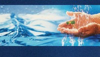 EXPO2005 日本国際博覧会(愛・地球博)-絵葉書-146