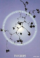 EXPO2005 日本国際博覧会(愛・地球博)-絵葉書-17