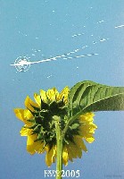 EXPO2005 日本国際博覧会(愛・地球博)-絵葉書-19