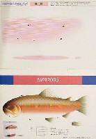 EXPO2005 日本国際博覧会(愛・地球博)-絵葉書-22