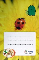 EXPO2005 日本国際博覧会(愛・地球博)-絵葉書-30