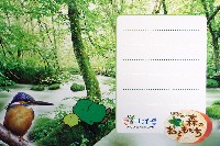 EXPO2005 日本国際博覧会(愛・地球博)-絵葉書-31