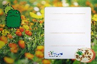 EXPO2005 日本国際博覧会(愛・地球博)-絵葉書-33