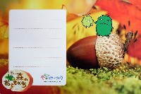 EXPO2005 日本国際博覧会(愛・地球博)-絵葉書-34