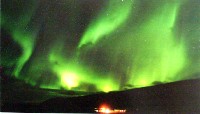 EXPO2005 日本国際博覧会(愛・地球博)-絵葉書-50