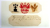 EXPO2005 日本国際博覧会(愛・地球博)-絵葉書-75