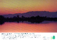 EXPO2005 日本国際博覧会(愛・地球博)-絵葉書-87