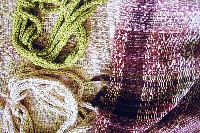 EXPO2005 日本国際博覧会(愛・地球博)-その他-265