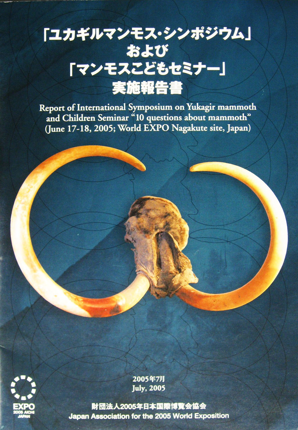 EXPO2005 日本国際博覧会(愛・地球博)-その他-471
