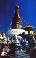 EXPO2005 日本国際博覧会(愛・地球博)-パンフレット-338