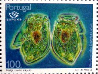 リスボン国際博覧会-切手-4